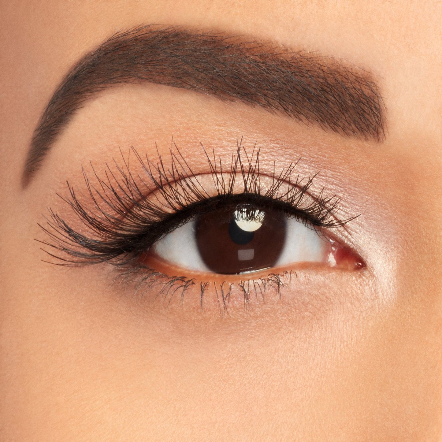 Salon Perfect Multi Pack False Eyelashes, 614 Black, 5 Pairs